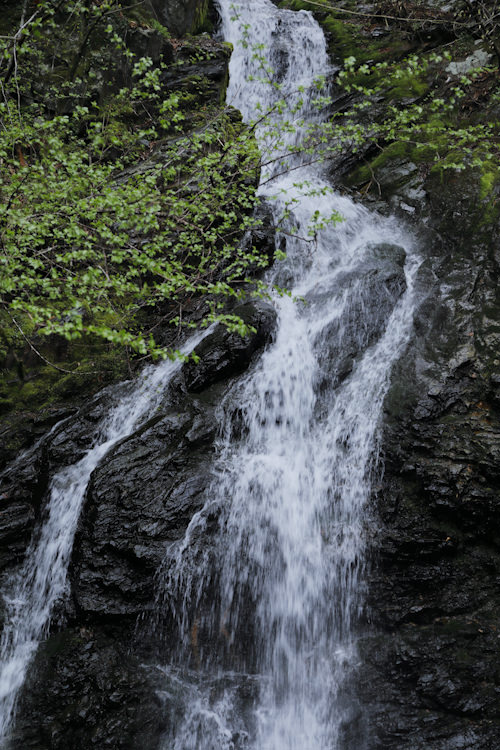 beautiful waterfalls