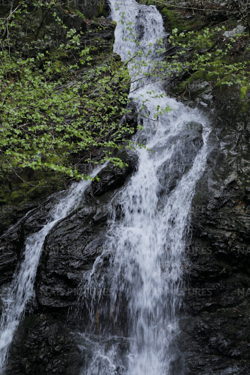 beautiful waterfalls