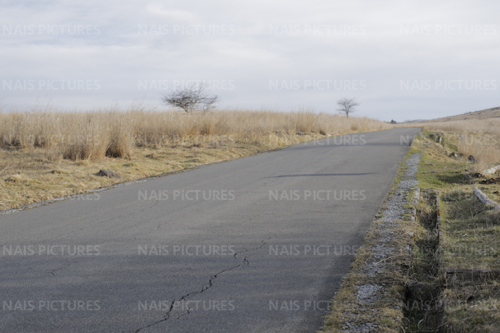 driving a car on the road