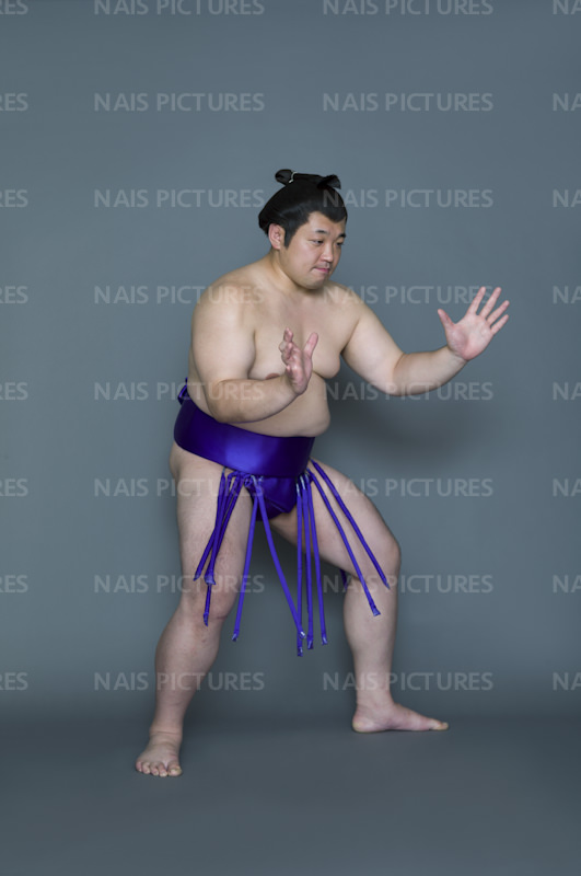 sumo wrestler