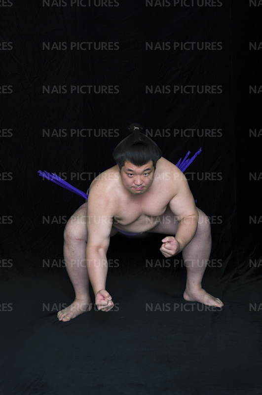 sumo wrestler