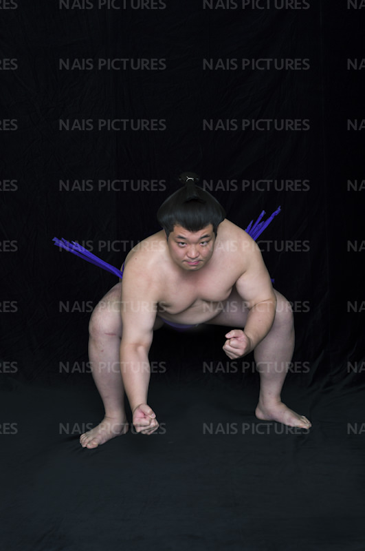 sumo wrestler 