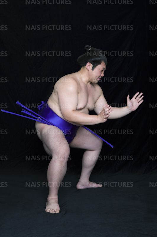 sumo wrestler