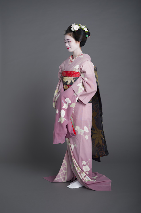 maiko stock photo