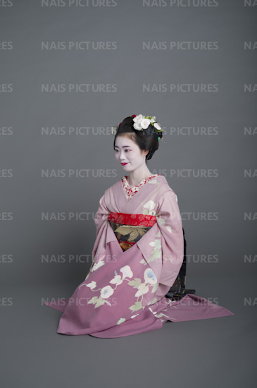 sitting maiko stock photo